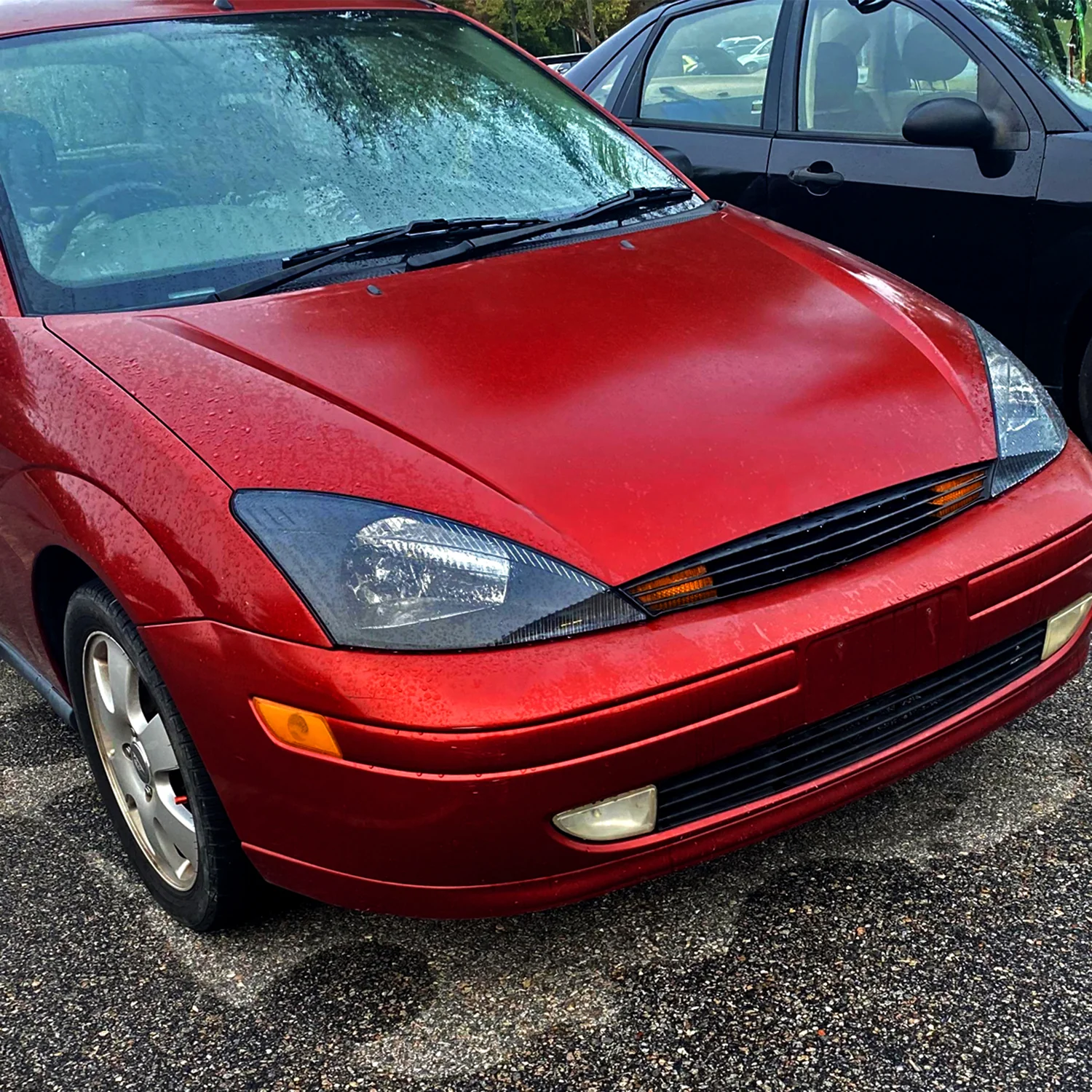 2000-2004 Ford Focus Factory Style Crystal Headlights Matte Black/Clear Lens - Image 8